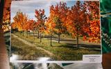 f4335cd85bf_Constructor_500e6c487a2_IMG_5267 (FILEminimizer)